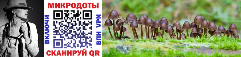 Галлюциногенные грибы ЛСД  Кимовск 